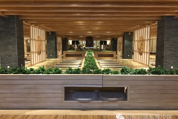 长沙茶文化体验馆：茶香四溢，尽享品茗喝茶的惬意时光